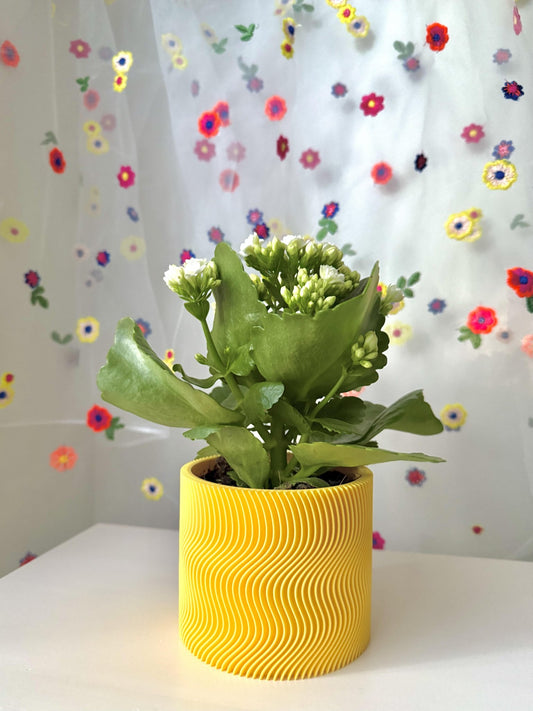 Japandi vazonas - Kora Design